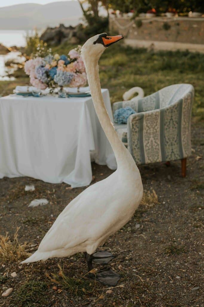 wedding roma italy